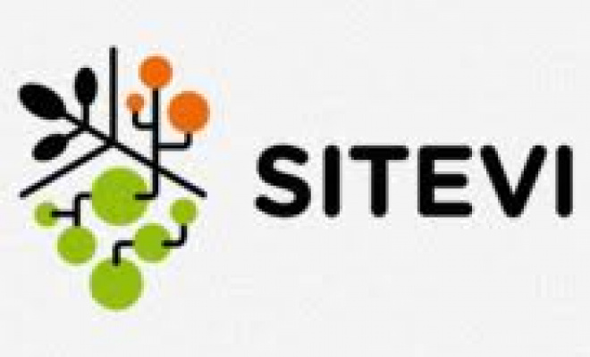 logo_sitevi